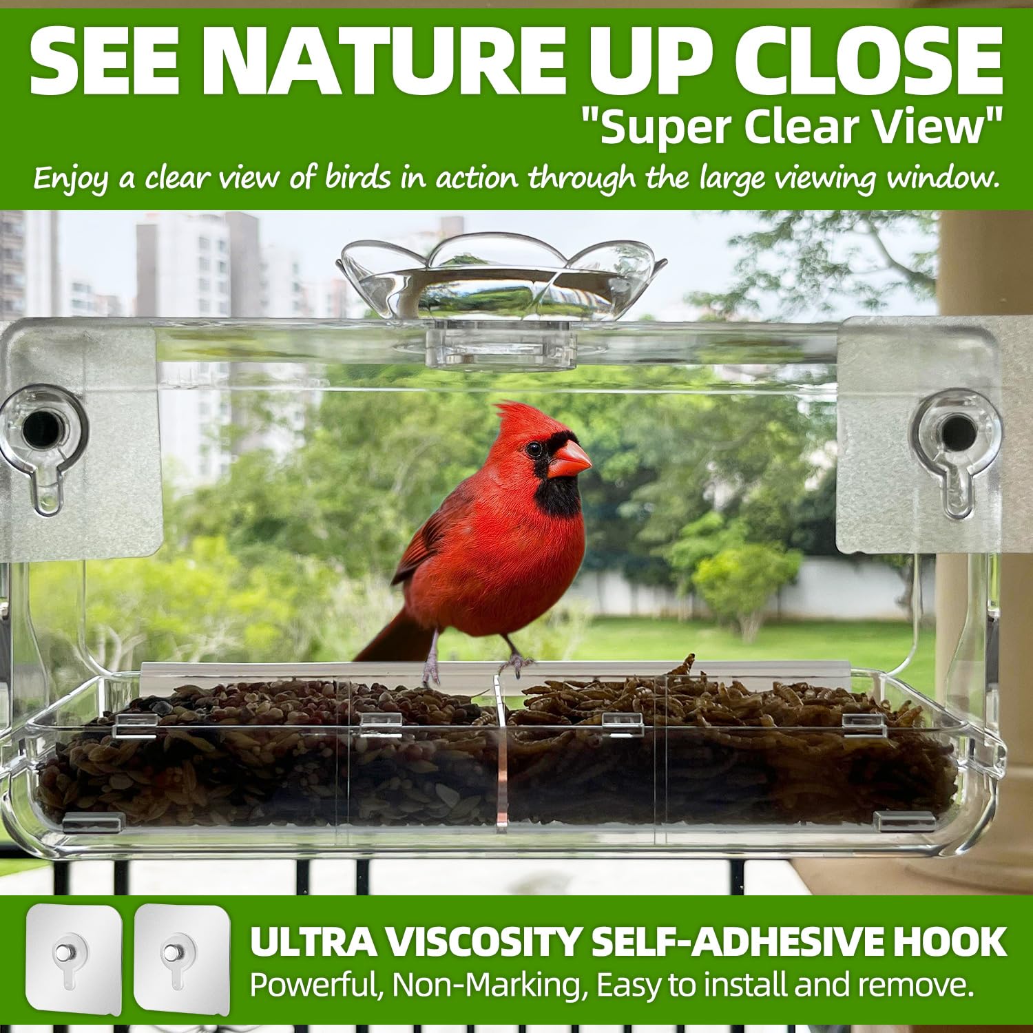 WENMIXER clear window-view feeder highlights bird colors through transparent plastic.