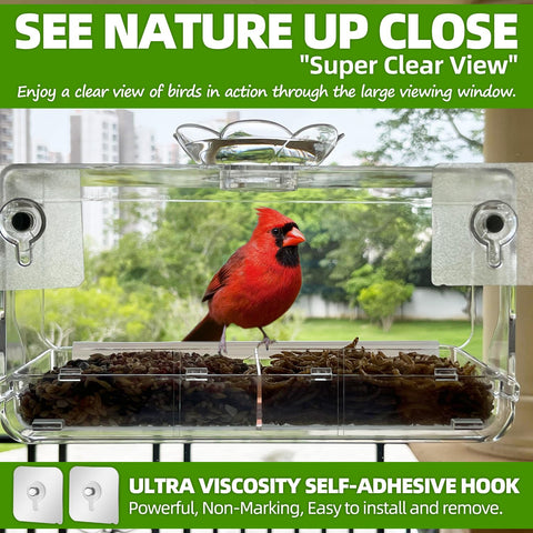 WENMIXER clear window-view feeder highlights bird colors through transparent plastic.