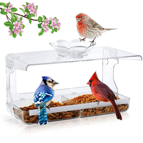 WENMIXER window bird feeder with non-marking hooks for close indoor viewing.