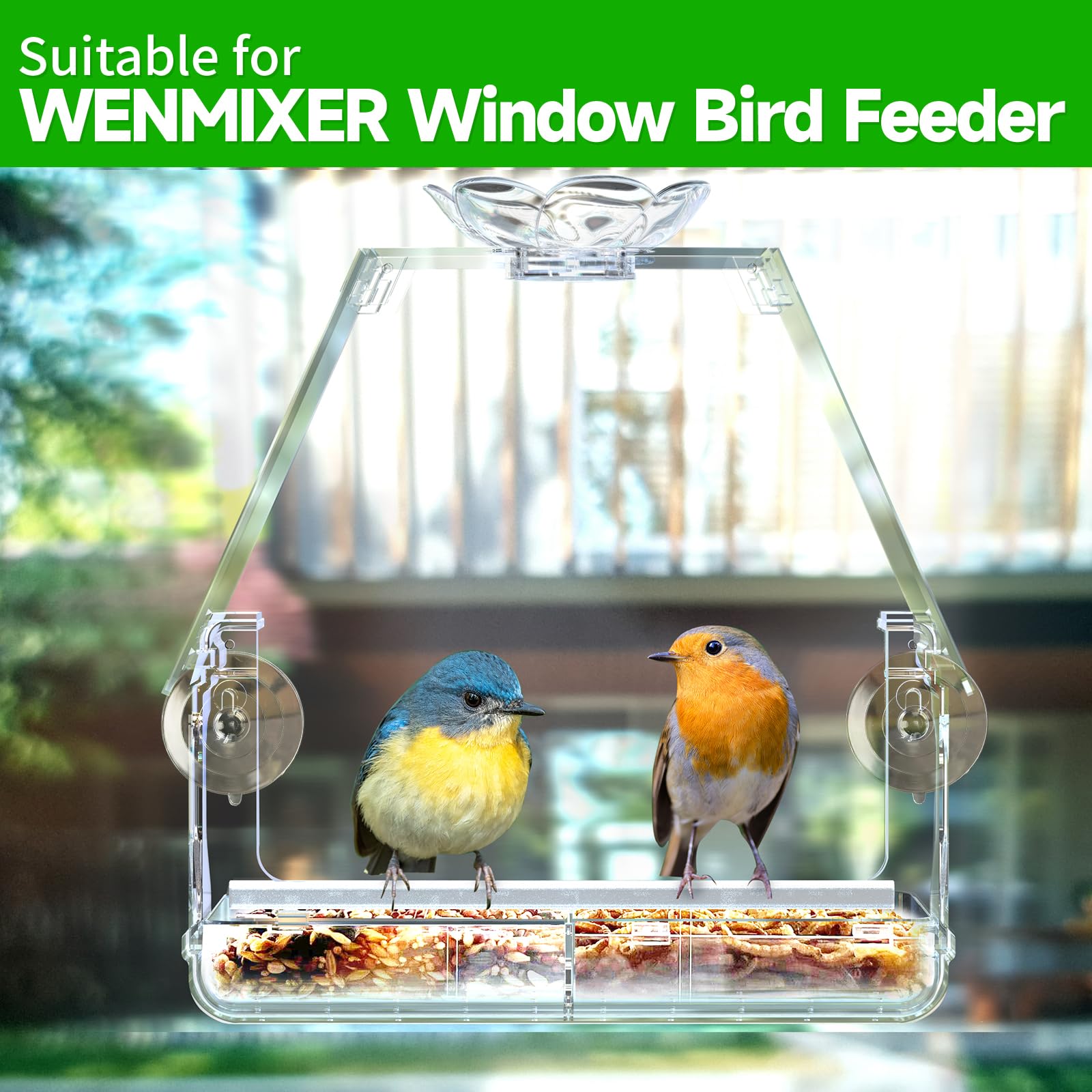 WENMIXER window decoration ideas using suction cups