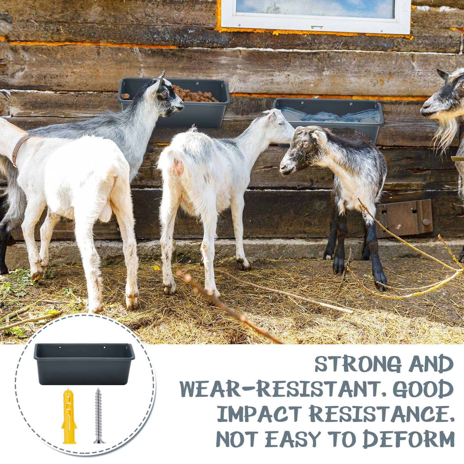 Wenqik lower-front access supports easy feeding for diverse animals.