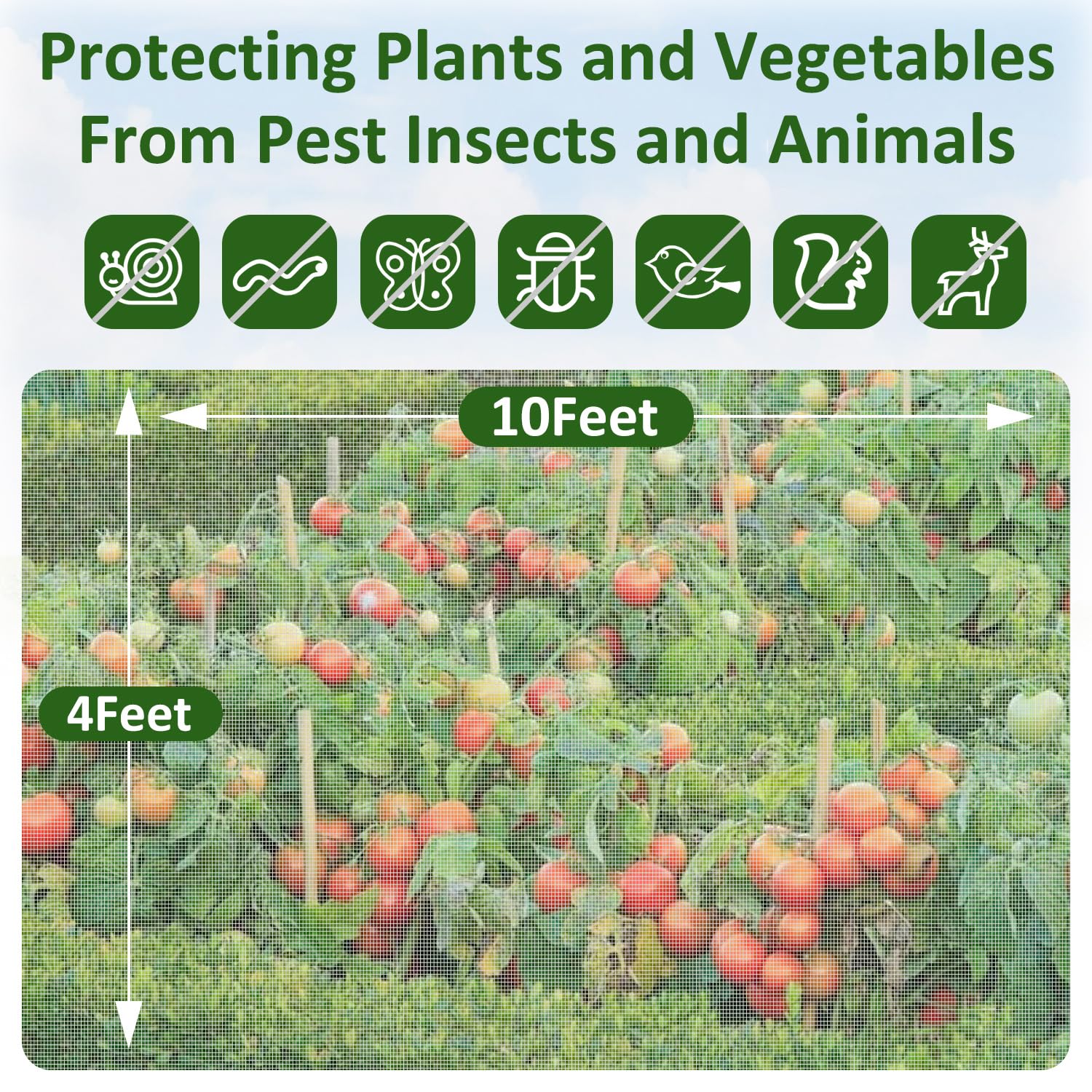 WentTao breathable netting lets sunlight and water reach plants.