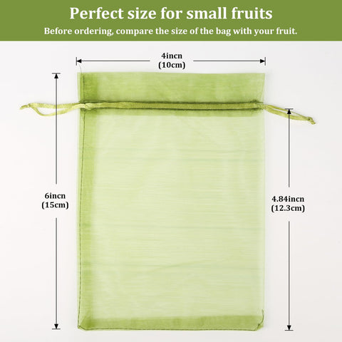 WenTao 4x6 inch bag protecting blueberries from pests