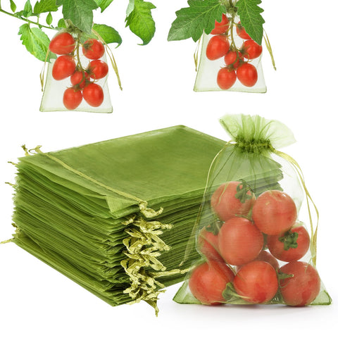 WenTao fruit protection bag on a strawberry guarding berries from birds
