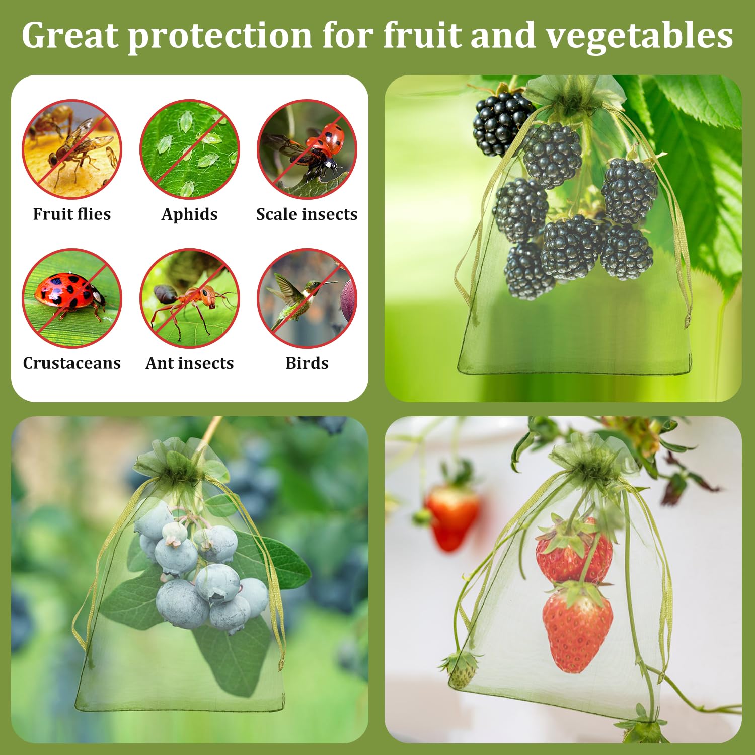 WenTao fruit protection bags in a thriving berry garden