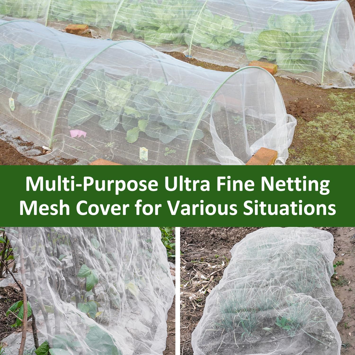 WentTao orchard protection netting guards trees and fruit crops.