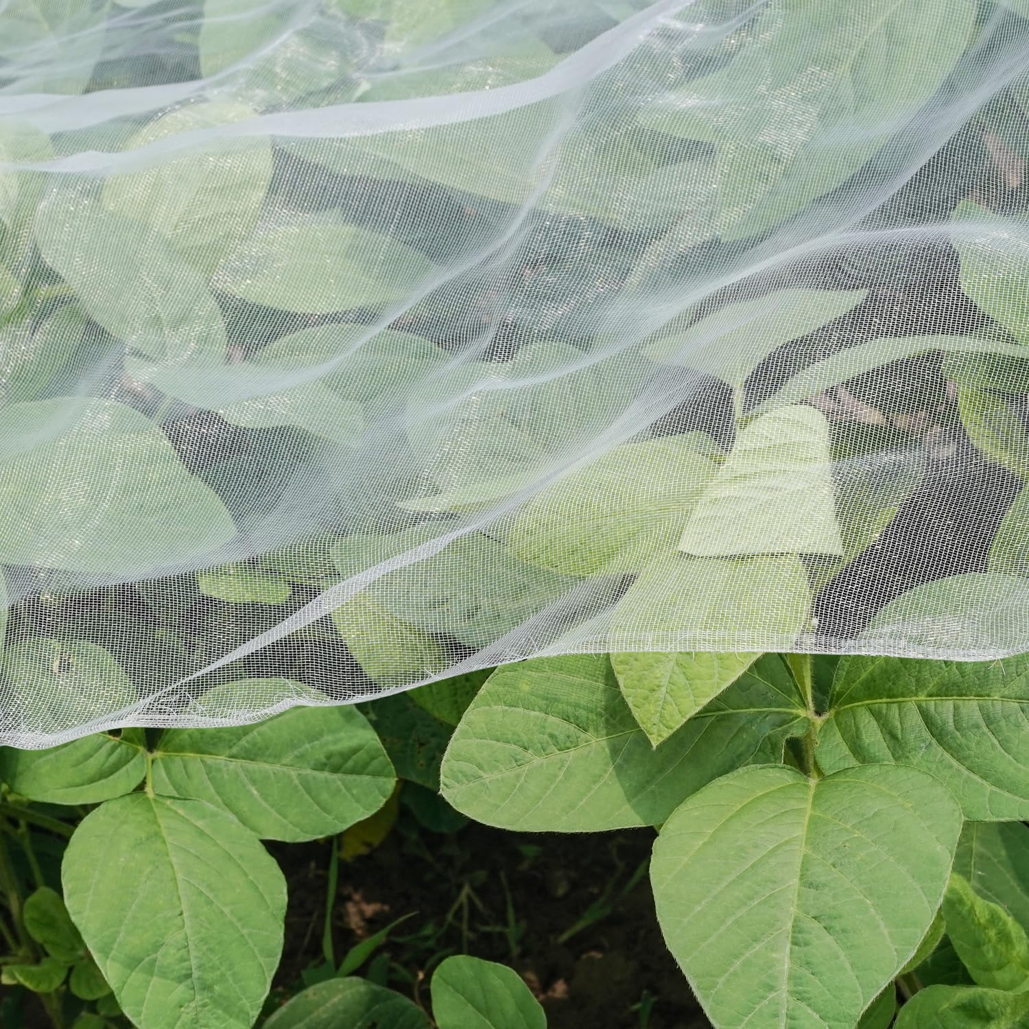 Wentao Ultra Fine Garden Netting over plants protects against pests while allowing airflow.