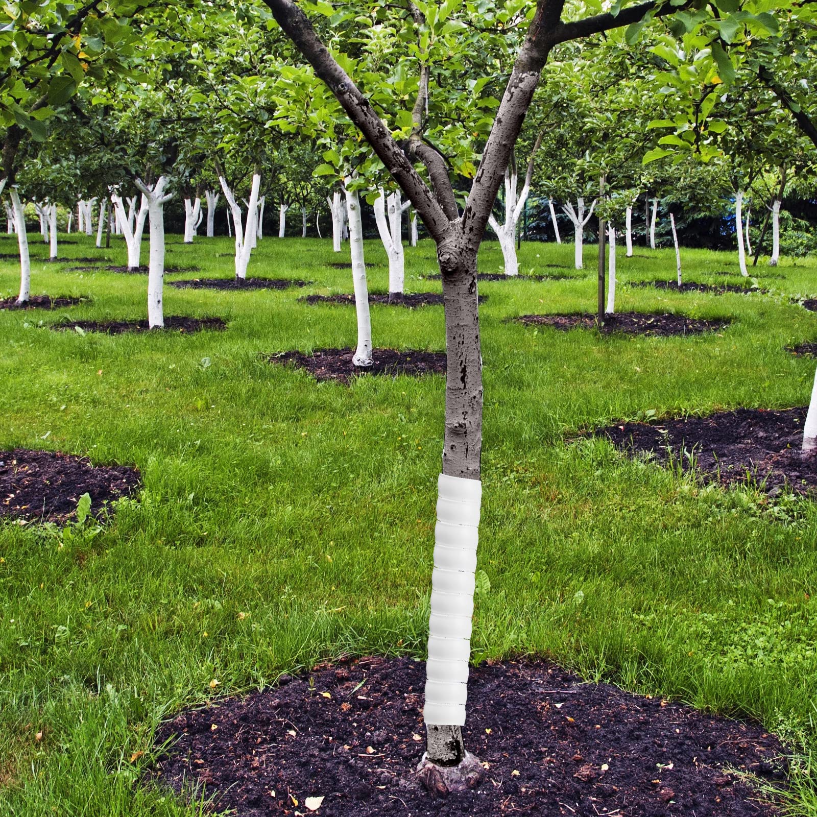 Wesiti tree trunk protector spiral 40x4cm shields saplings for extended growth.