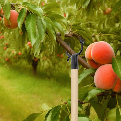 West Bay garden stake setup adapts to different stems for versatile outdoor use
