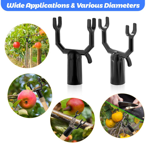 West Bay yard tree stabilizer helps prop and shape branches for healthy growth