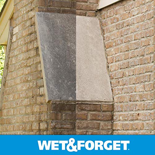 Wet & Forget green stains fading on a patio surface after treatment.