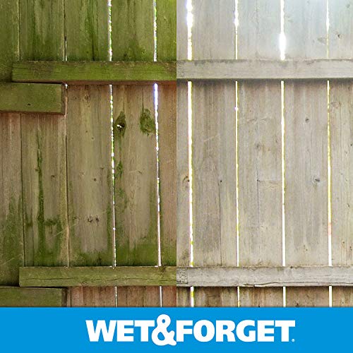 Wet & Forget applying cleaner to roof to lift stubborn stains.