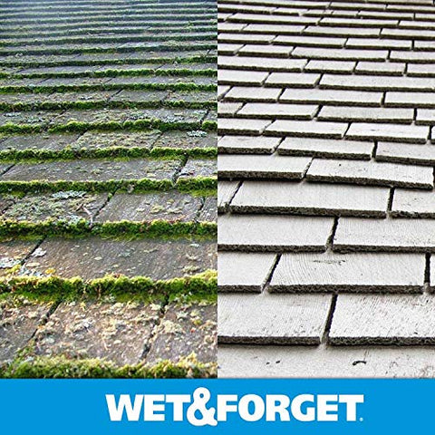 Wet & Forget treated sealed brick or concrete surface remains cleaner longer.