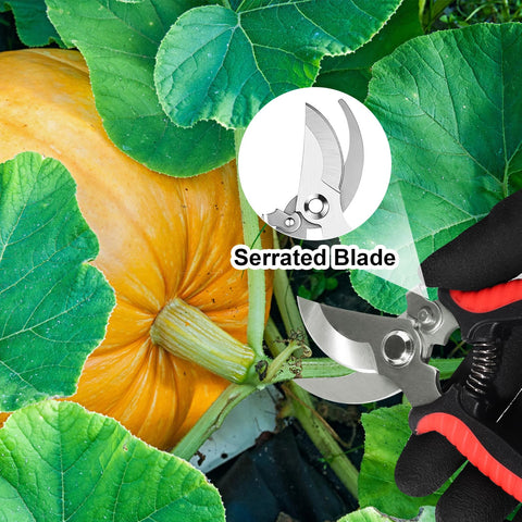 Wevove three-blade set with flower shear for delicate stems