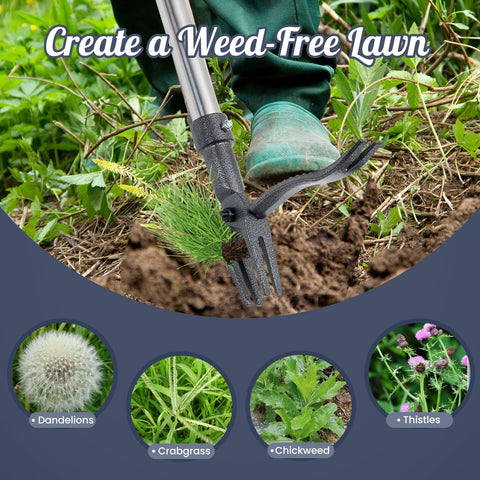 Wexoride 44-inch handle helps reach weeds without bending.