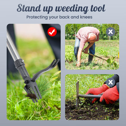 Wexoride deep-root weed removal ideal for dandelions and crabgrass.