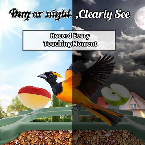 WEYANZE 2.5L food capacity feeds more birds between refills
