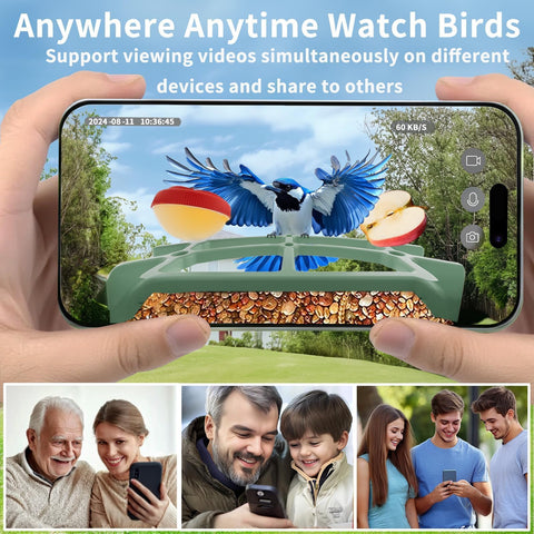 WEYANZE 4MP HD color night vision reveals feather details at dusk