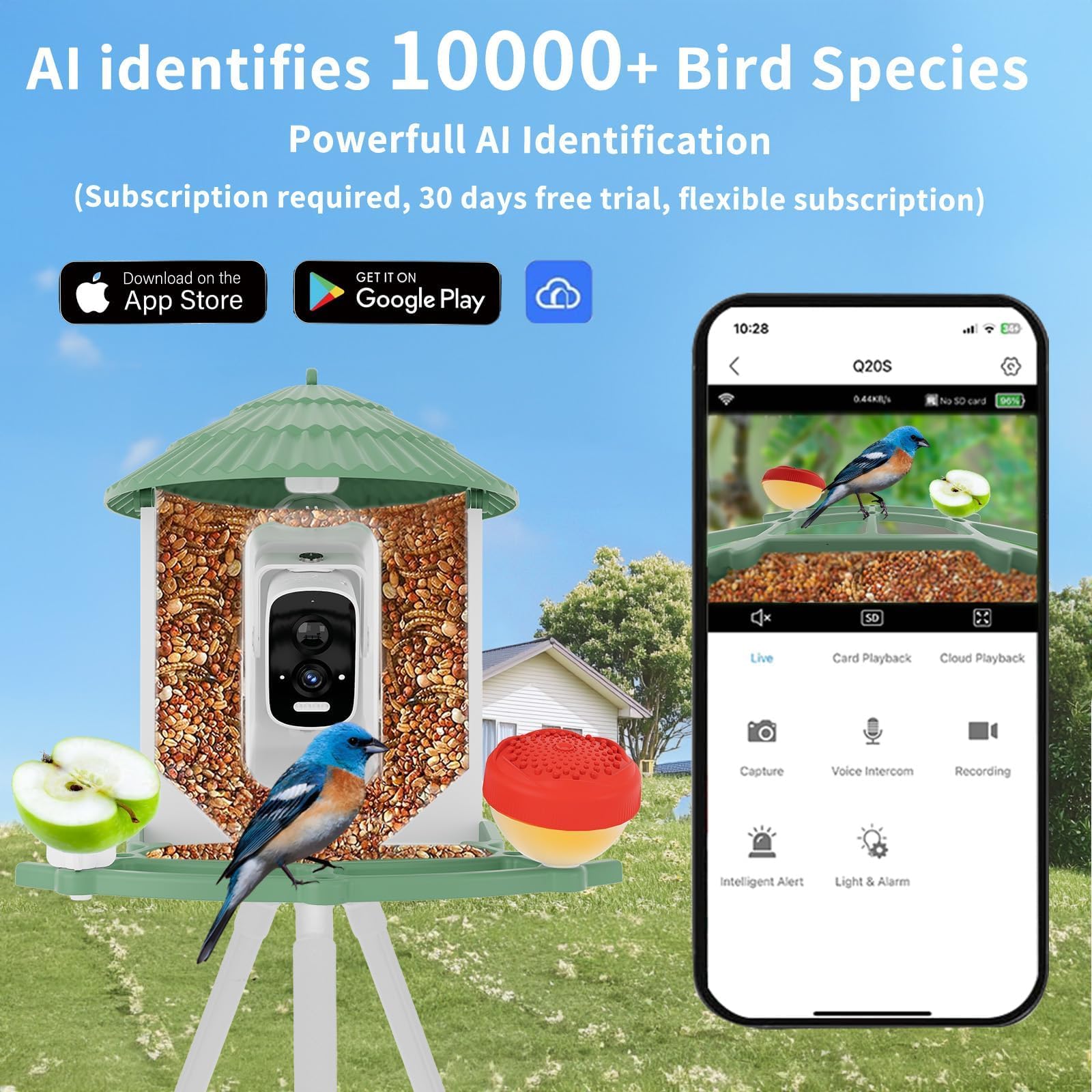 WEYANZE AI bird recognition highlights species for curious observers