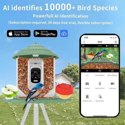WEYANZE AI bird recognition highlights species for curious observers