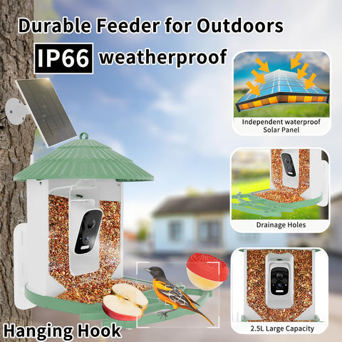 WEYANZE solar powered birdfeeder keeps birds fed outdoors