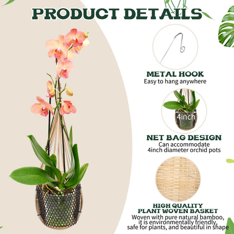 Weysat indoor-outdoor bamboo planter suitable for walls or ceilings.