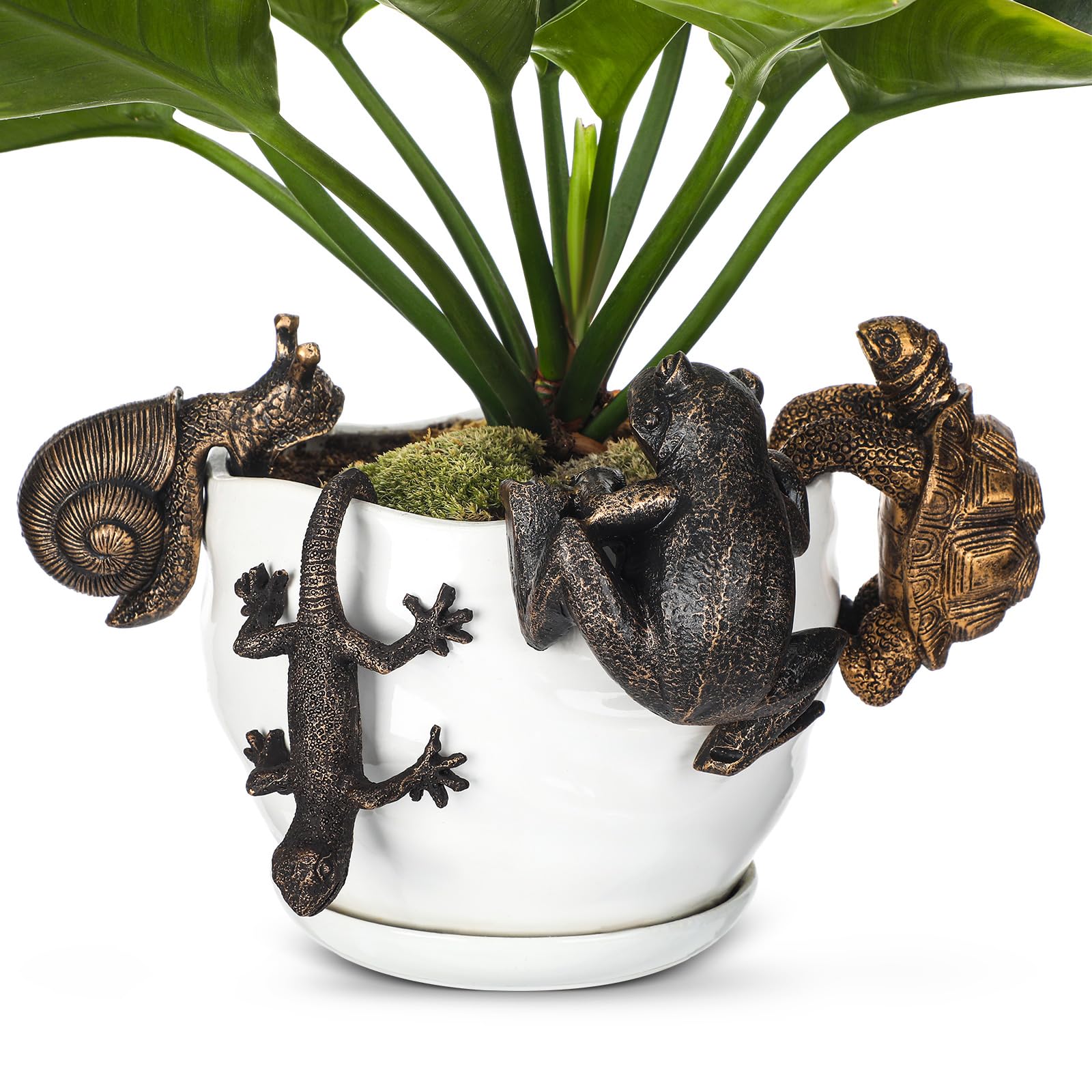 Weysat frog planter hugger with bronze finish on a pot edge for charm