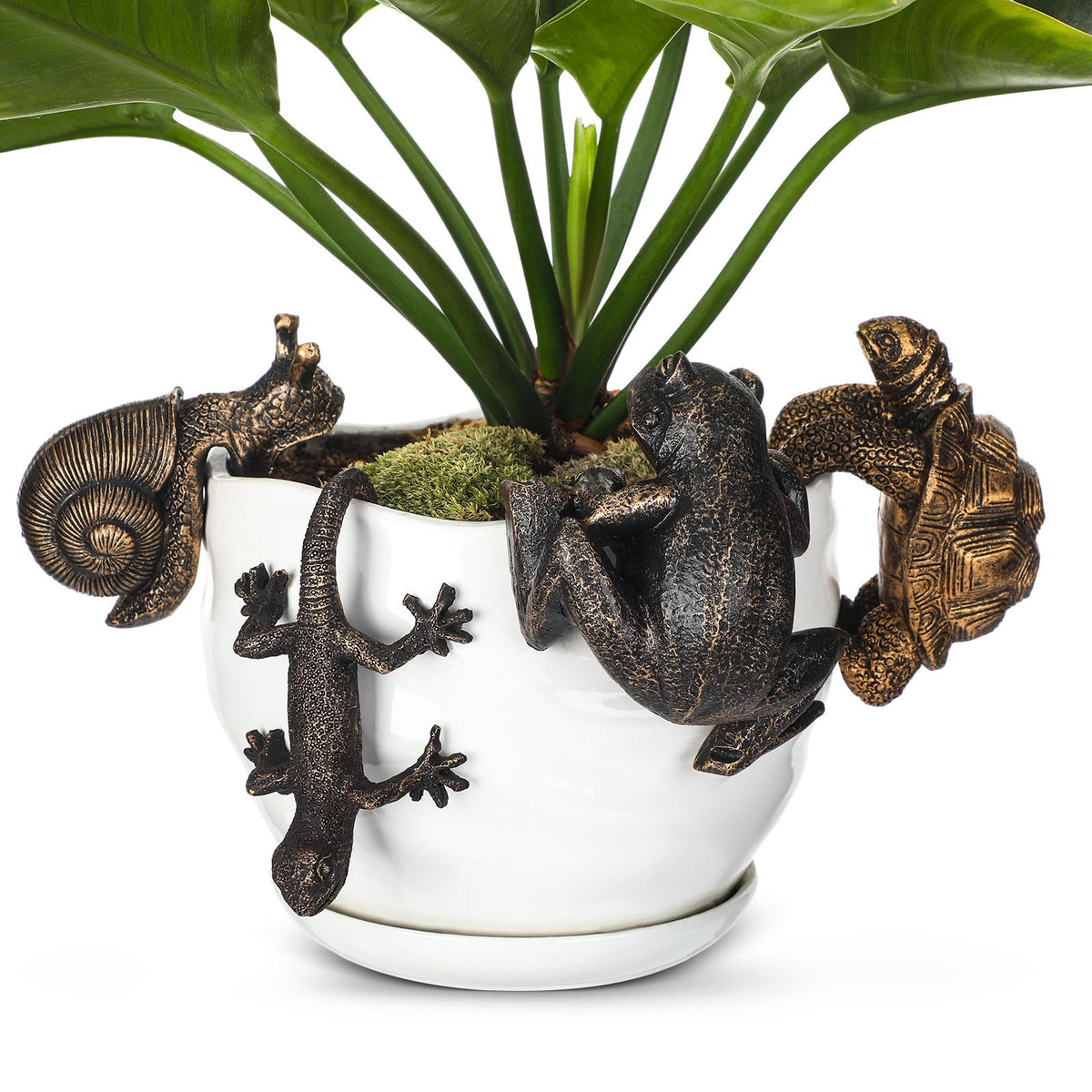 Weysat frog planter hugger with bronze finish on a pot edge for charm
