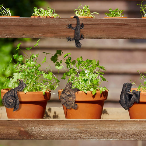 Weysat gecko planter hugger offers playful accent on pot or fence