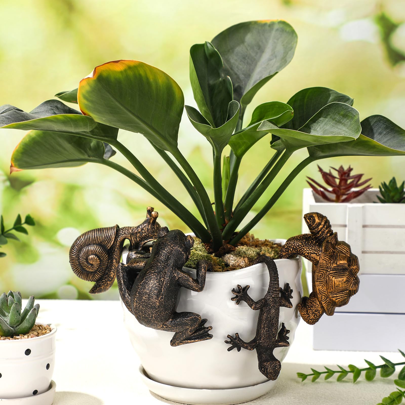 Weysat snail planter hugger brings whimsical touch to shelf or vase