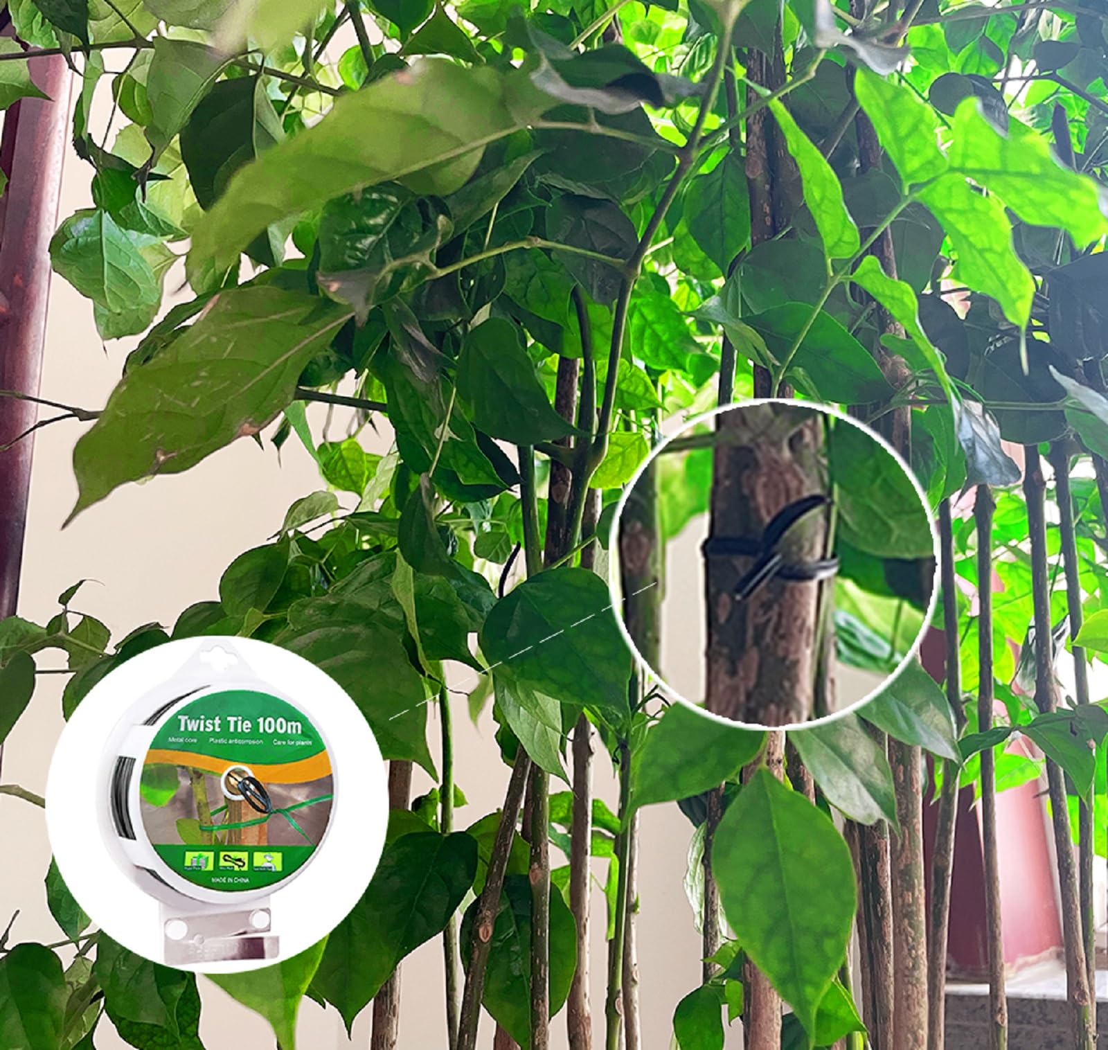 WFAUIBR flower-wall tie aids climbing vine displays