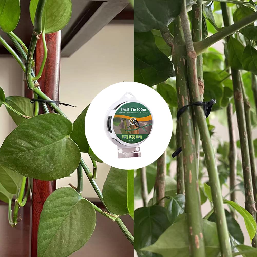 WFAUIBR fruit-stability tie prevents sagging fruit