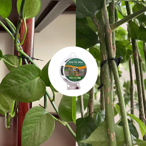WFAUIBR fruit-stability tie prevents sagging fruit