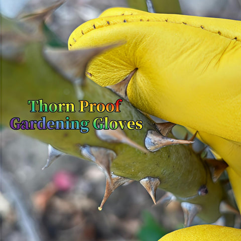 wfkwcxw Small size Glove ensures a snug, comfortable fit.