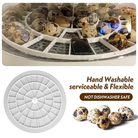 WFXSHparts 12.2x12.2-inch dimensions help fit compact incubators.