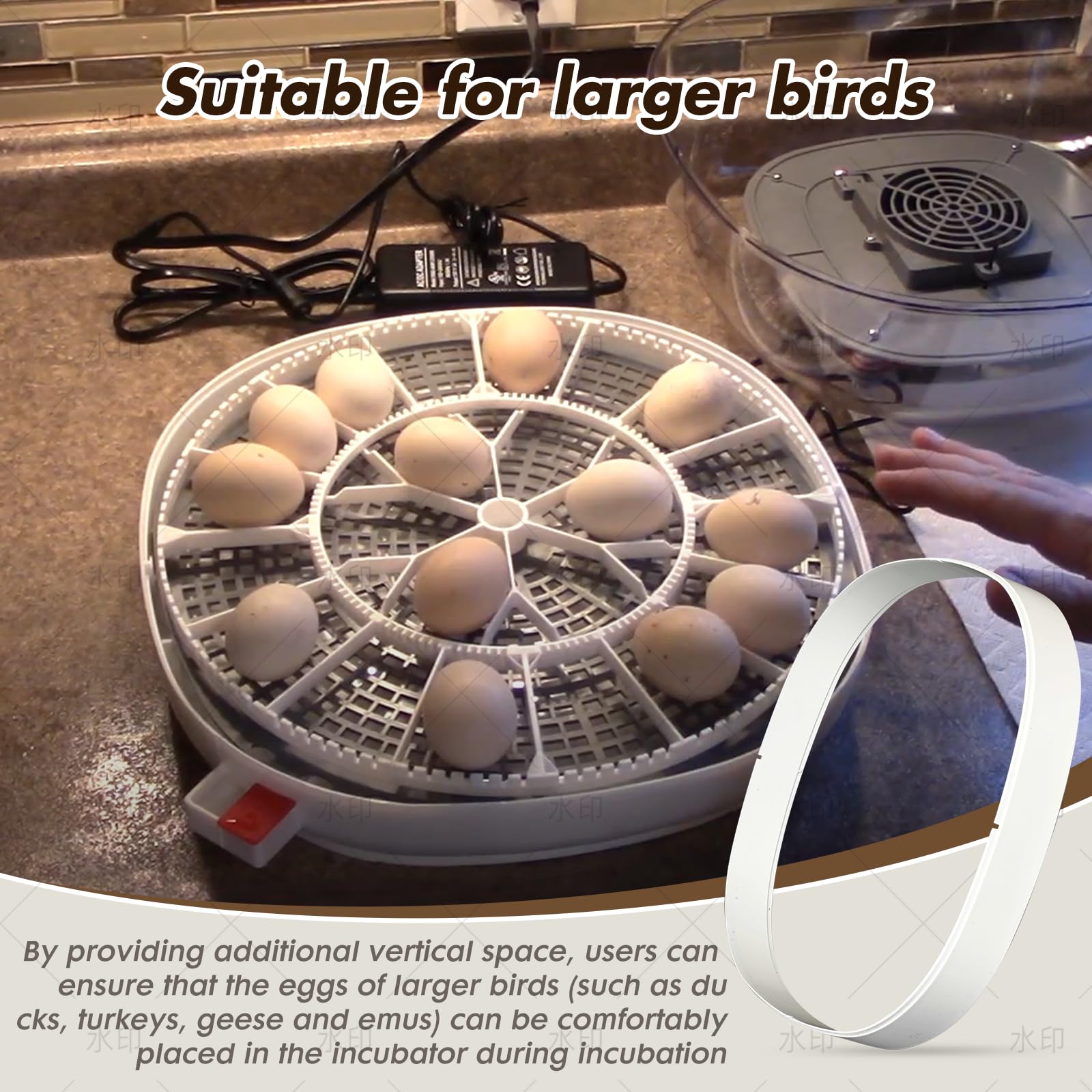 WFXSHparts durable materials provide stable support as an incubator riser.
