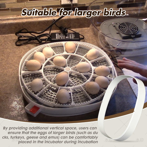 WFXSHparts durable materials provide stable support as an incubator riser.