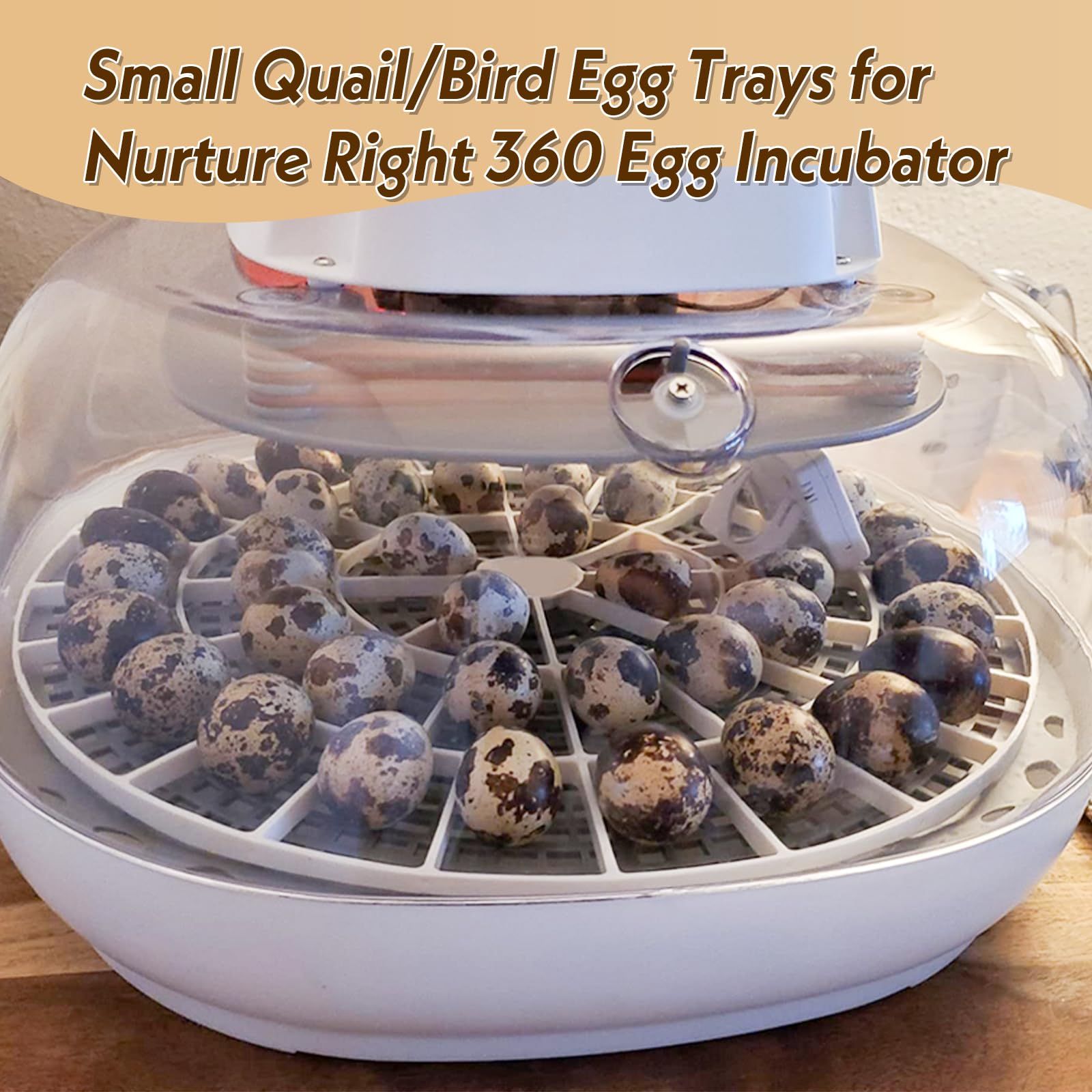 WFXSHparts nurture-right-360 incubator tray, clear top view shows easy egg placement.