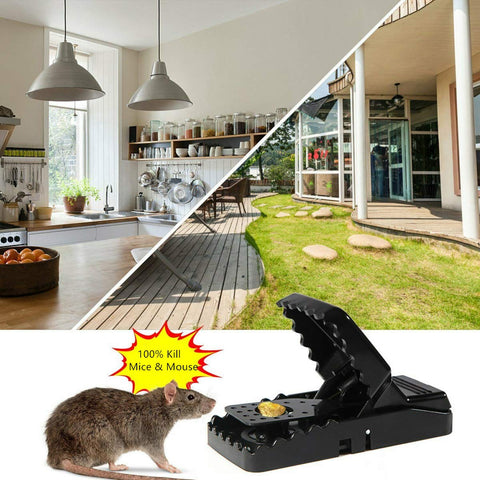 Wgbon reusable trap designed for indoor and outdoor use.