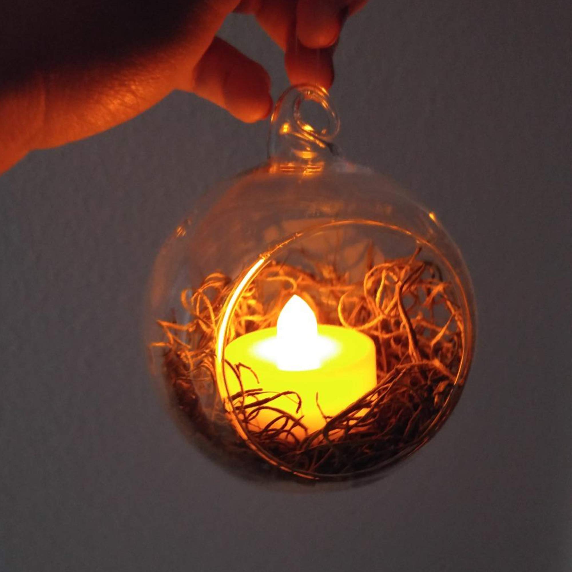 WGVI airplant terrarium candle holder for ambient decor