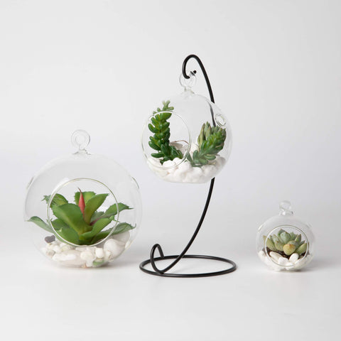 WGVI candle holder terrarium globe as decorative centerpiece