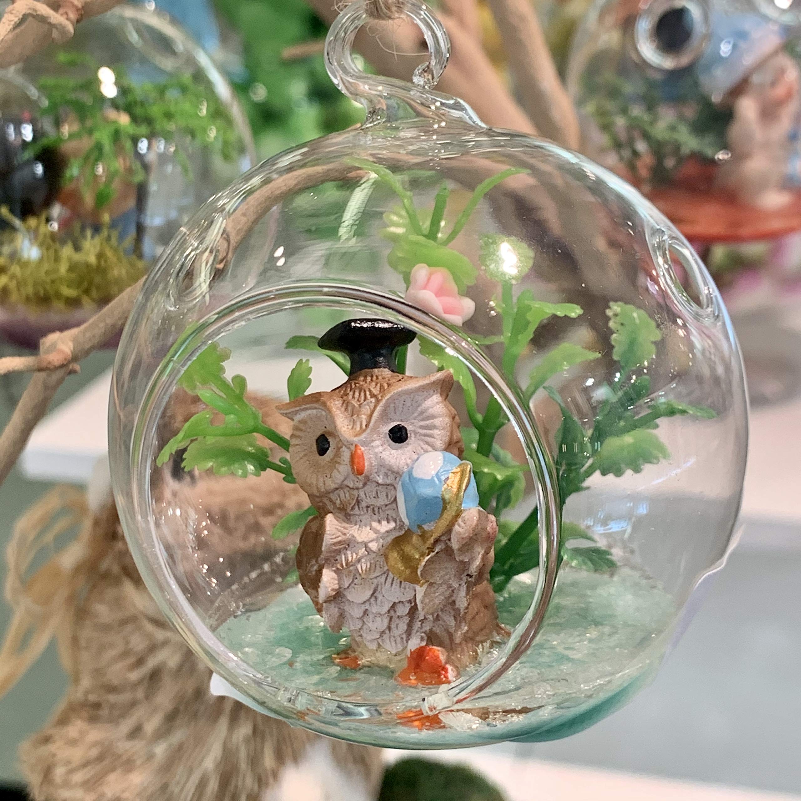 WGVI clear glass terrarium orb for versatile DIY projects