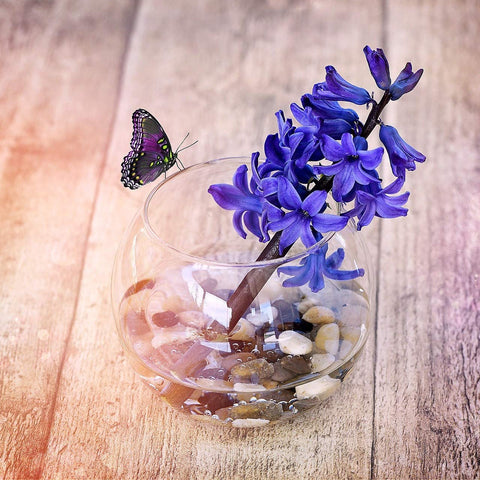 WGVI glass vase fish bowl display suits aquariums and decorative accents