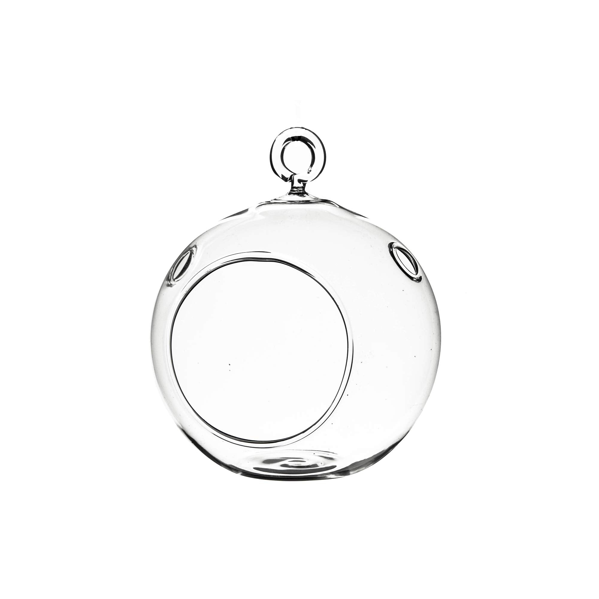WGVI Hanging Terrarium Globe, 3x4 inch, stylish windowsill display