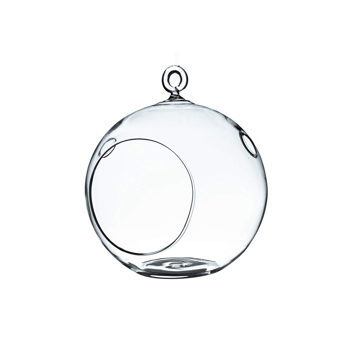 WGVI hanging terrarium globe with flat bottom for stable display