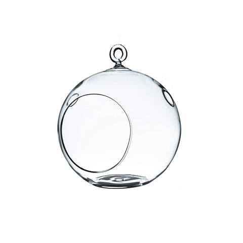 WGVI hanging terrarium globe with flat bottom for stable display