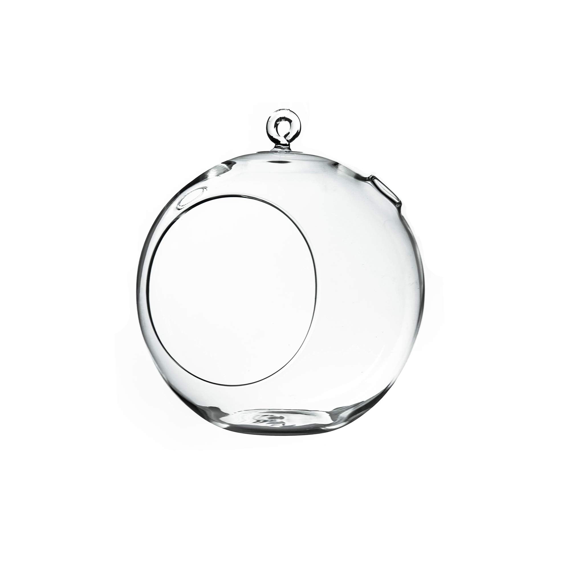 WGVI hanging terrarium globe, 8-inch wide, ideal for windowsill displays.