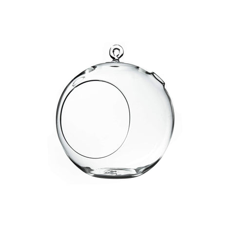 WGVI hanging terrarium globe, 8-inch wide, ideal for windowsill displays.
