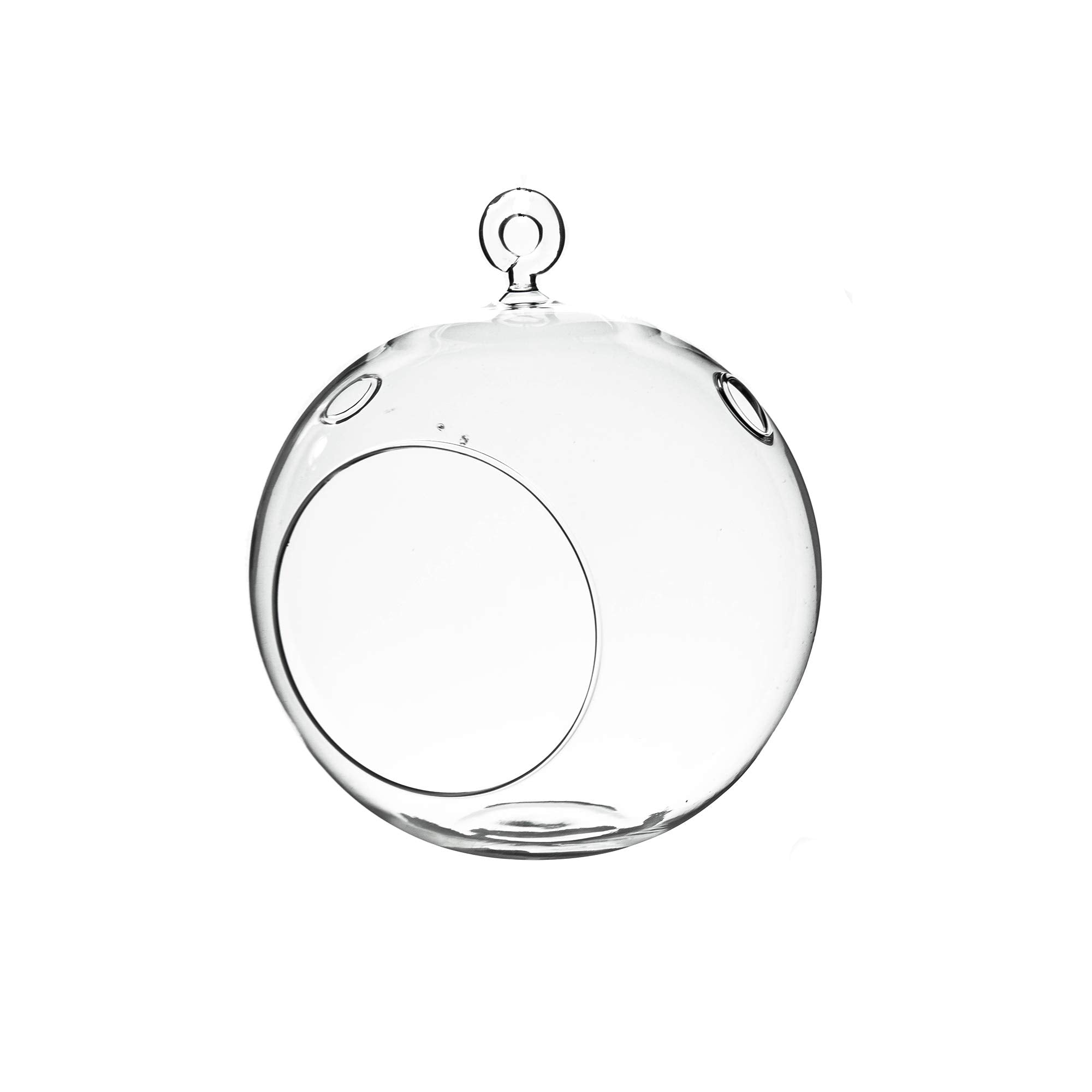 WGVI hanging terrarium globe with clear glass, ideal 6-inch display for succulents