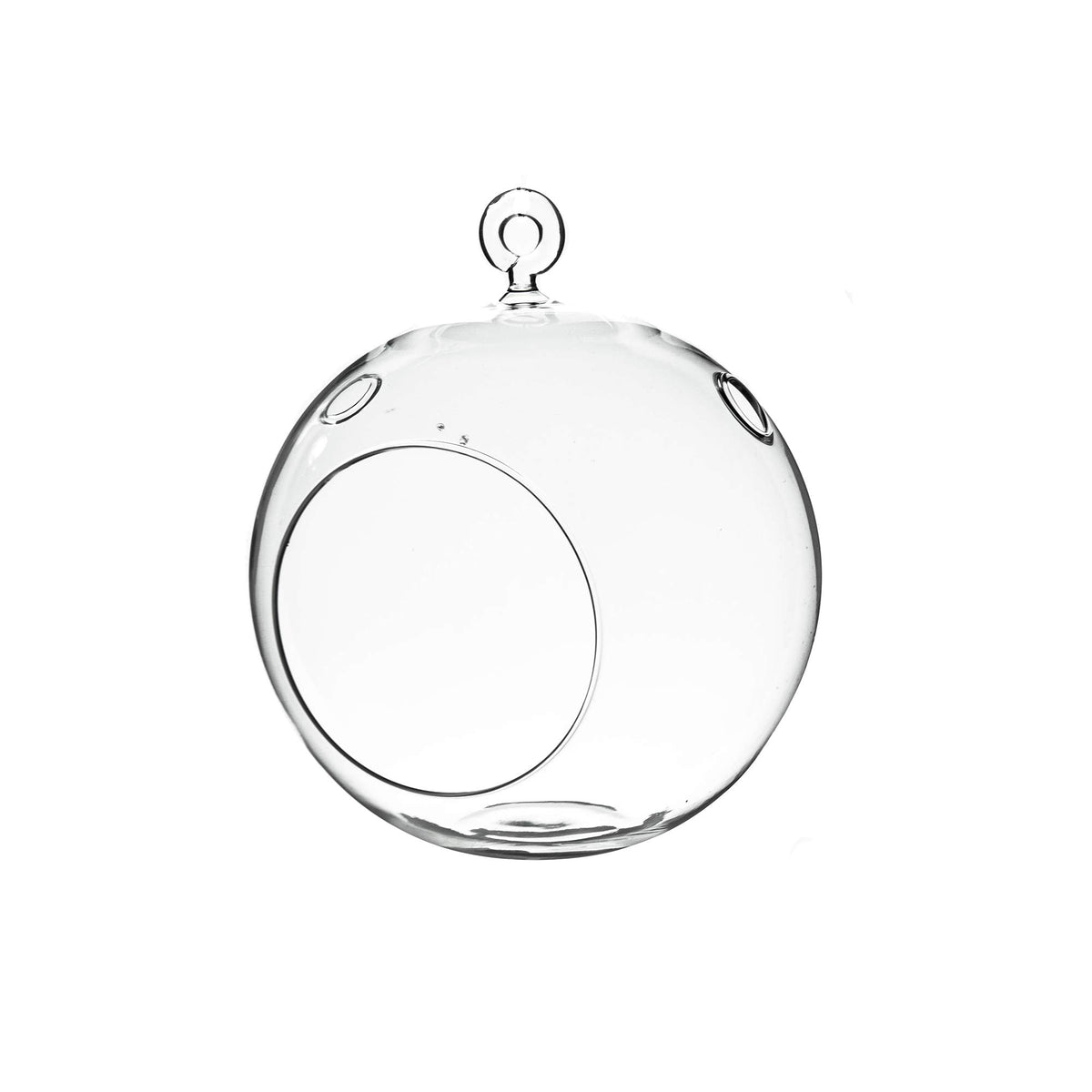 WGVI hanging terrarium globe with clear glass, ideal 6-inch display for succulents